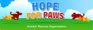 Partner logo