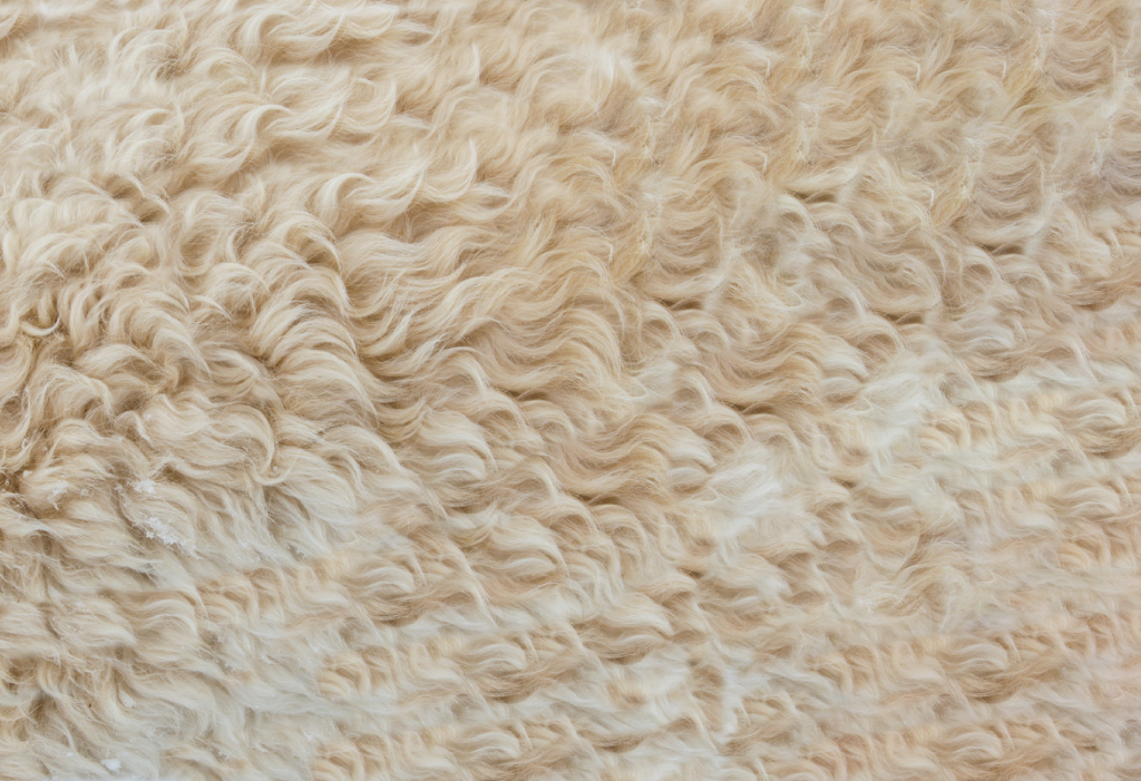 AlpacaWool+ Comfort Layer